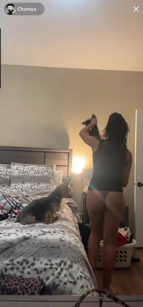 Chamya Johnson Sex OnlyFans