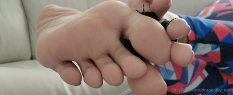 dragonlily net OnlyFans XX