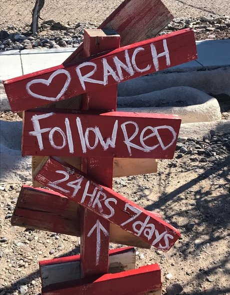 tarynthomas Nur für Fans