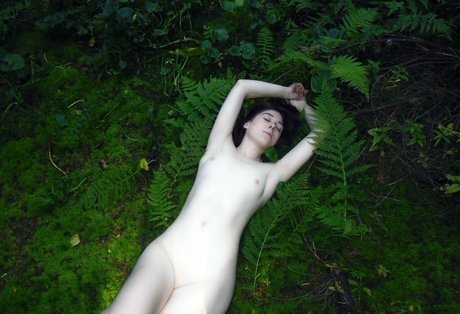 sexyshreksy OnlyFans Gratis-Inhalte