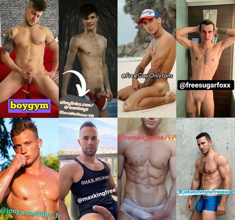 maxkingfree Profilbild