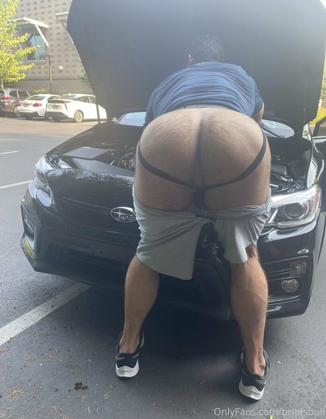 briefsbull Nur für Fans