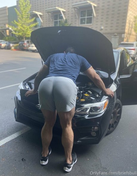 briefsbull OnlyFans
