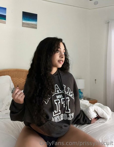 prissybiscuit OnlyFans-Archiv