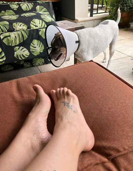 Regina Volpato OnlyFans Pornografie gratis