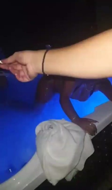 liatosh OnlyFans-Leaks