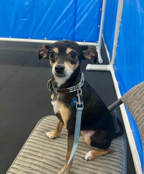 Suki Jade Nacktbilder von OnlyFans geleakt