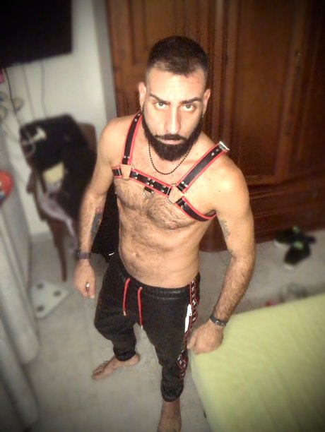 Lotus Gold OnlyFans Striptease