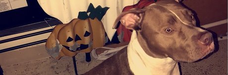 SideNigga Treey II_ OnlyFans geleakte Brüste