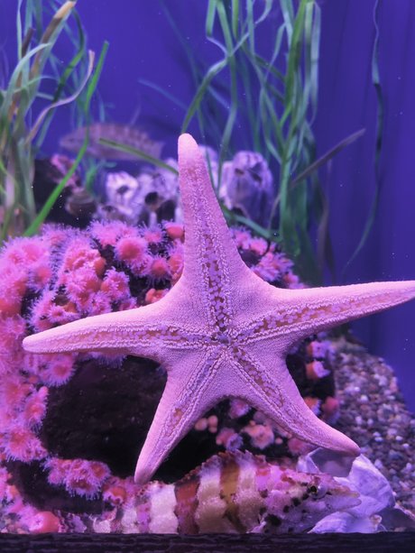 MamaBear008 Nacktbilder geleakt