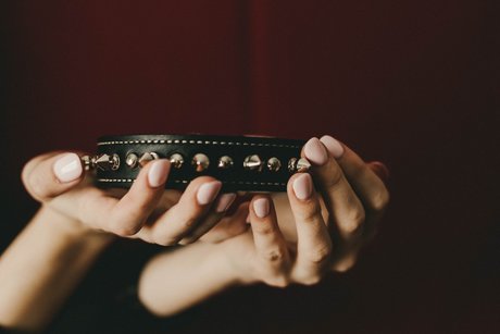 Lady Meredith Leaked OnlyFans Fotos