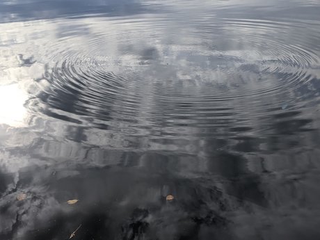 Moon Heart OnlyFans Leaked