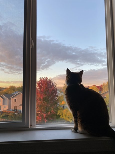 Feets R Us OnlyFans Mega