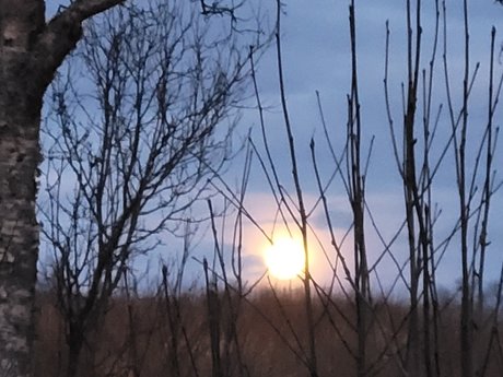 _PROMO Miss Shadow FREE OnlyFans-Bilder