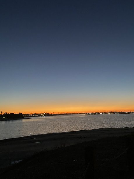 Miss Kitty_ OnlyFans Leak