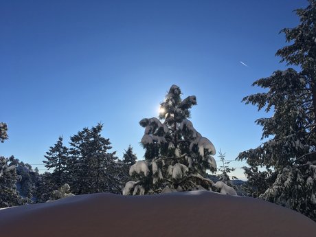 Nate Oakley OnlyFans