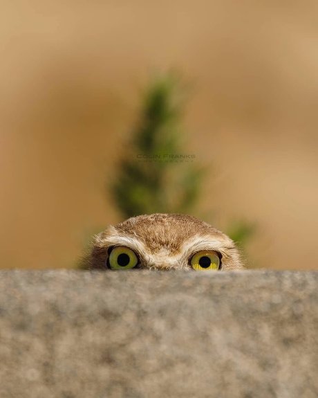 Mr Dance Nacktbilder geleakt OnlyFans