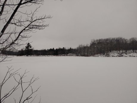 Morningblues girl OnlyFans schlank