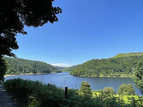 Morgs Olivia OnlyFans gratis