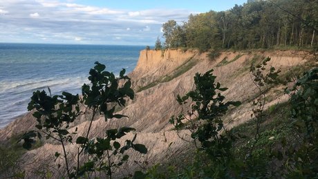 Niceguy013 OnlyFans Leak Pornografie