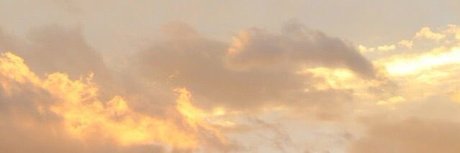 nelle_ OnlyFans Inhalte