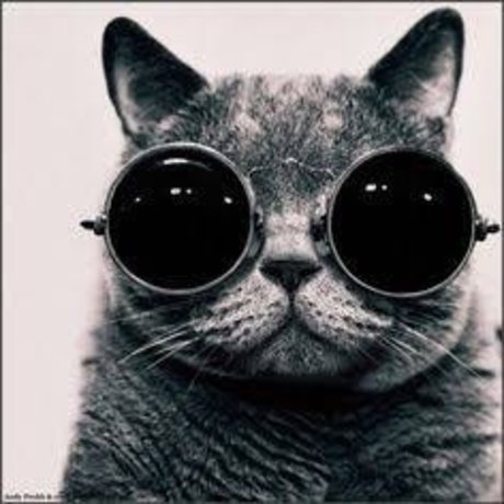 David Gadellha OnlyFans Sextape