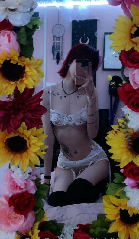 ittybittyloli OnlyFans Leaks Nacktbilder