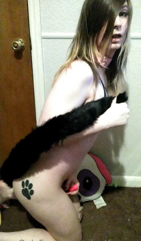 silentfoxowo OnlyFans Leak