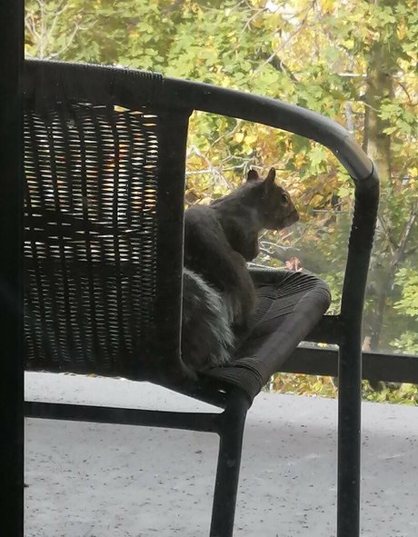 rubyoreilly Nacktbilder von OnlyFans