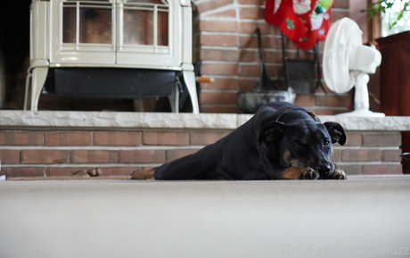 gutfuzz OnlyFans Sex geleakt