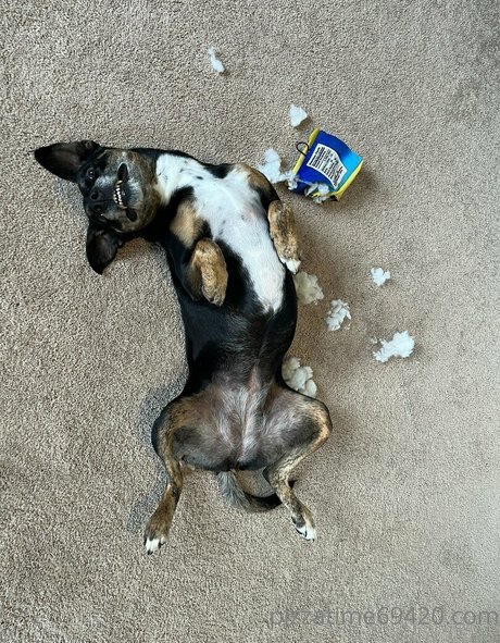 bbw-titten nur fans sexy XXX Portfolio