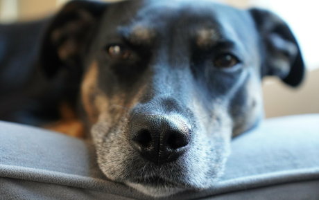 gutfuzz Bilder OnlyFans