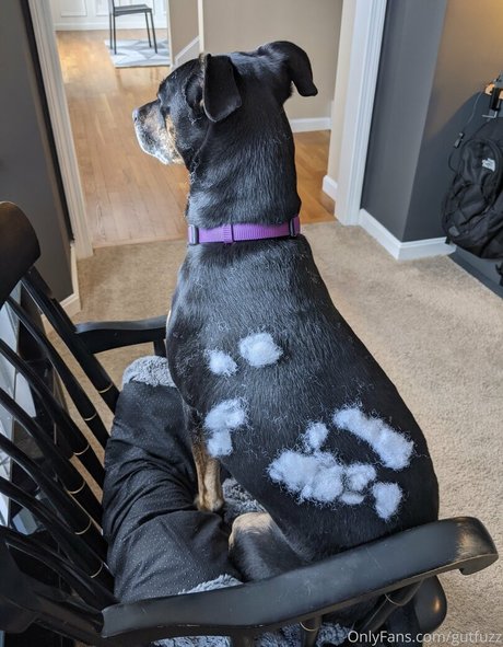 gutfuzz OnlyFans-Inhalte