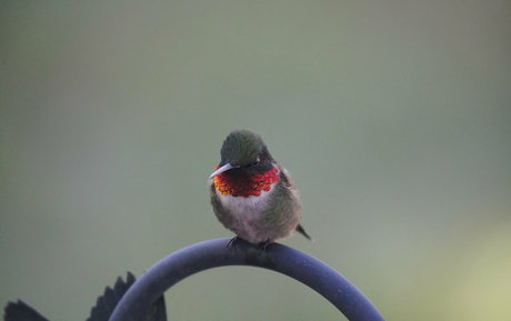 gutfuzz OnlyFans Leaked