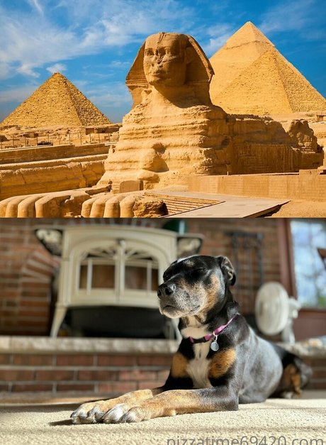 gutfuzz Nackt auf OnlyFans