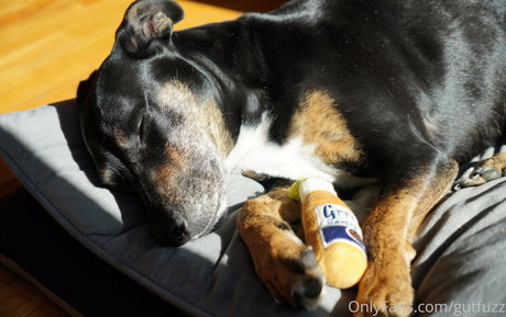 gutfuzz OnlyFans XXX