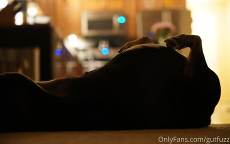 gutfuzz OnlyFans XXX