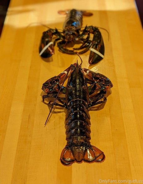 gutfuzz Nacktbilder von OnlyFans geleakt