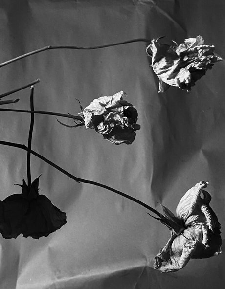 rothaariger arsch nur fans exklusive Hochwertig