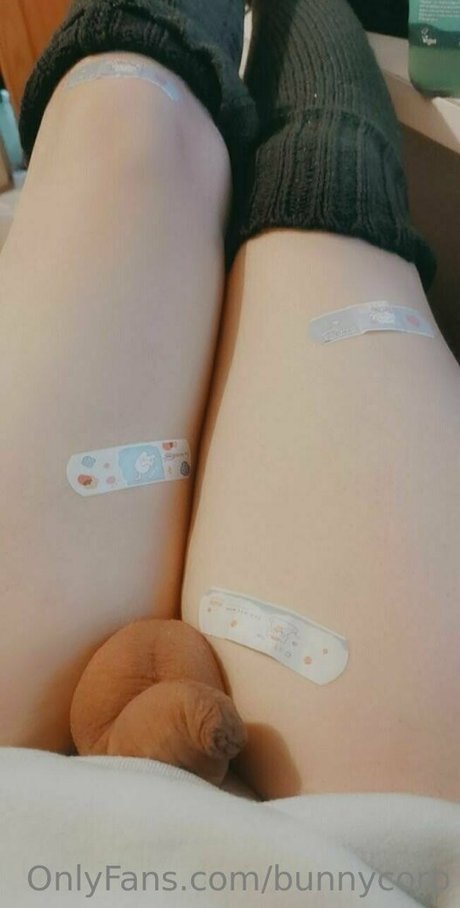bunnycorp OnlyFans Nackt Content