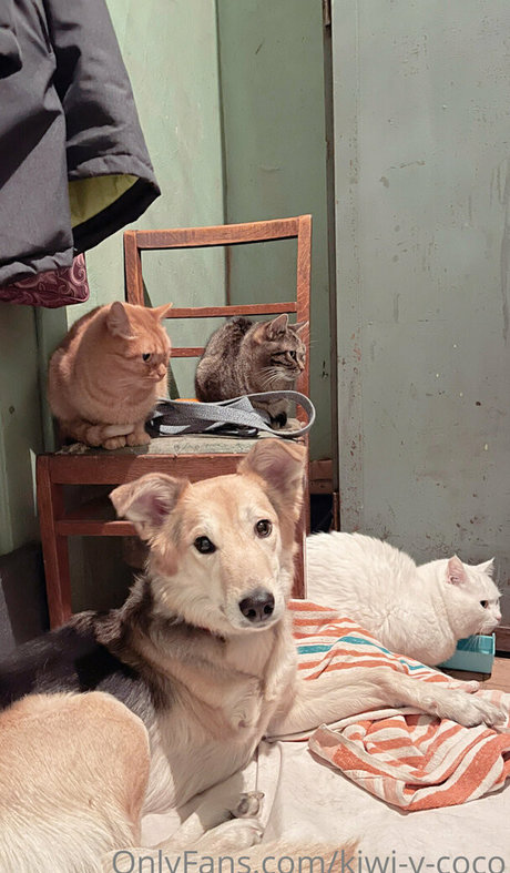 kiwi y coco OnlyFans