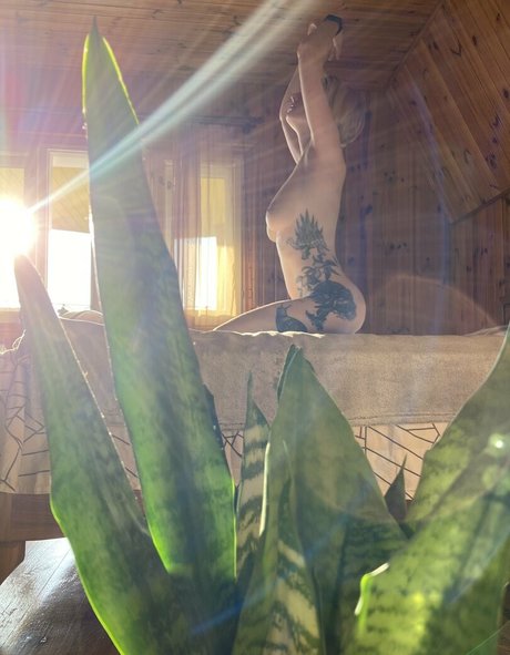 kiwi y coco OnlyFans Pornografie gratis