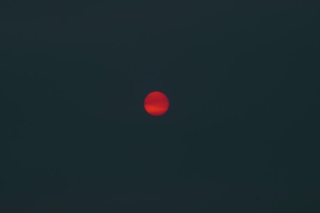 oddhoney OnlyFans Pornografie