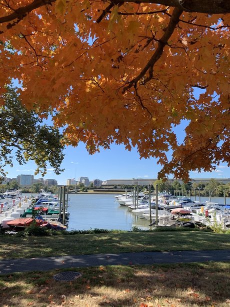 NYtoDC Neue OnlyFans Leaks