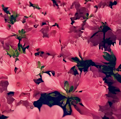 exhibitchinnyc Leaked OnlyFans Bilder