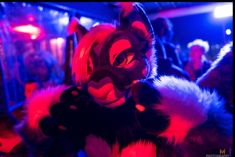 _Miss Nui OnlyFans Bilder