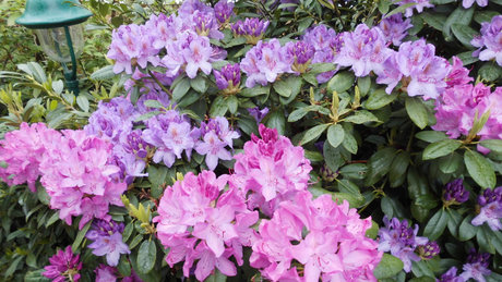 Patrick Schroeter OnlyFans