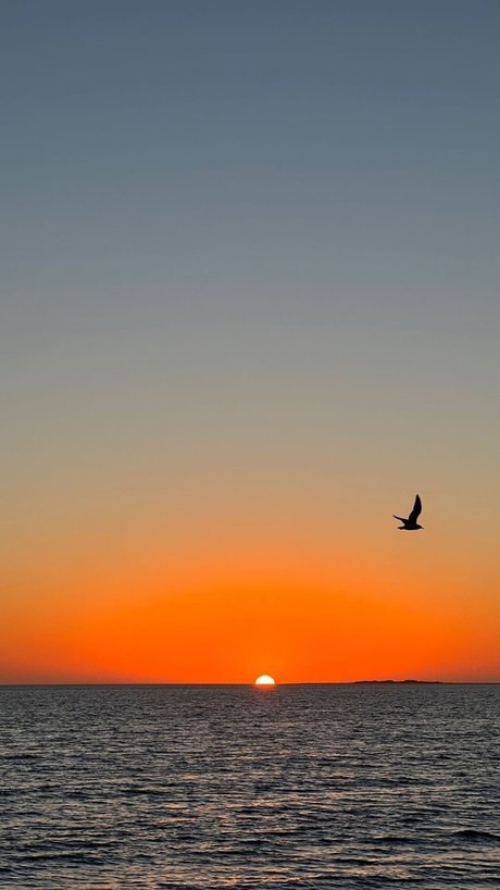 Pepe Angell Nacktbilder von OnlyFans geleakt