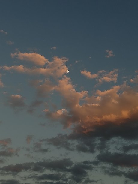 Petite Carnade OnlyFans kostenlos geleakt