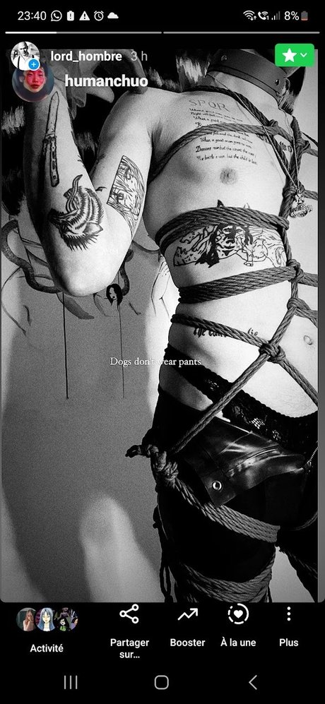 StraightToBottom OnlyFans Inhalte